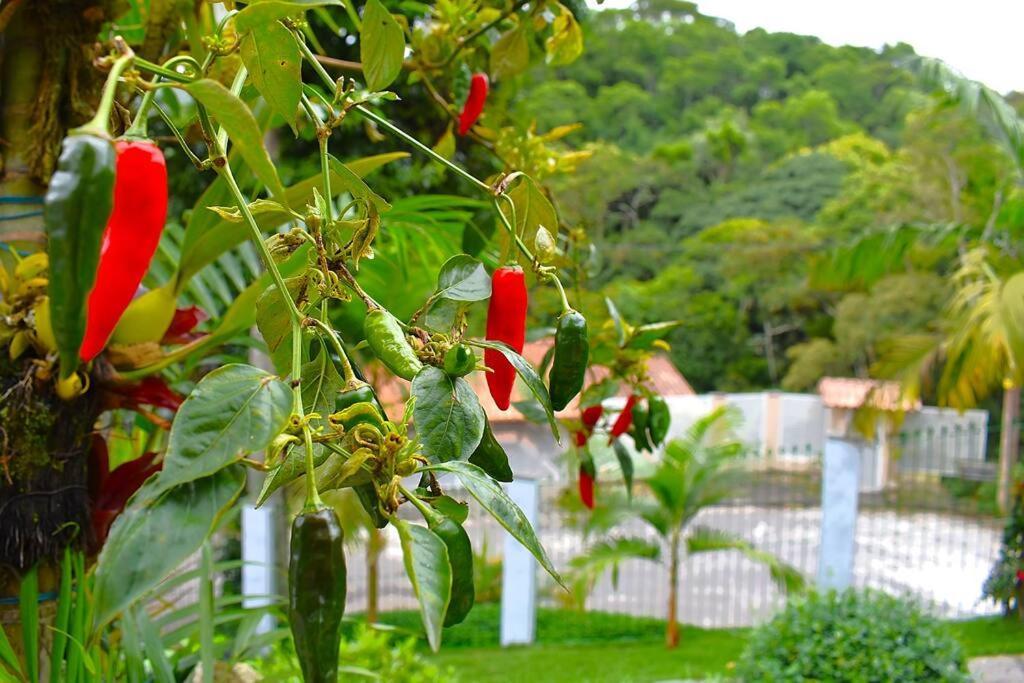Casa Espetacular No Centro Da Serra Nova Friburgo Luaran gambar